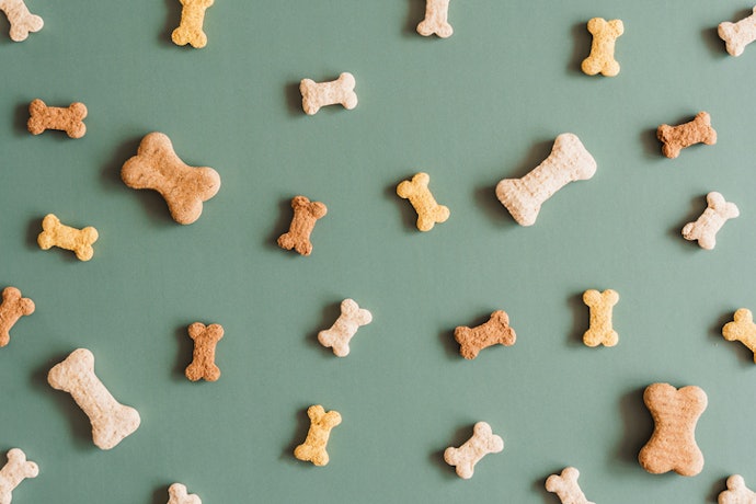 Select the Right Treat Size for Your Dog's Breed