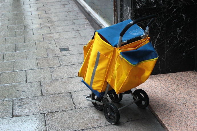 Opt for Trolley Bags with Dividers to Keep Your Items Neat