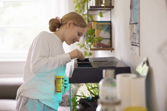 Avoid Wheat, Soy, Corn, and Artificial Additives That May Upset Digestion