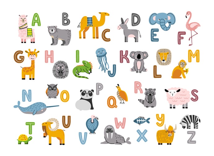 Explore Different Themes to Keep Your Baby Engaged