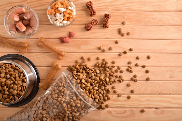 Try Out Different Dog Food Flavors To Encourage Picky Eaters