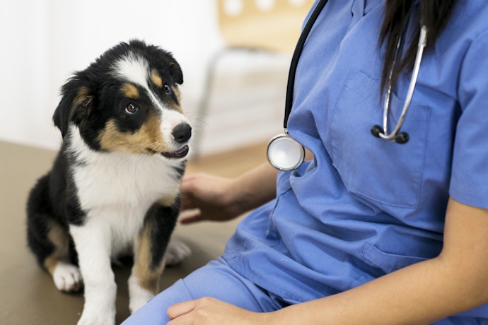 For Safety, Consult Your Veterinarian