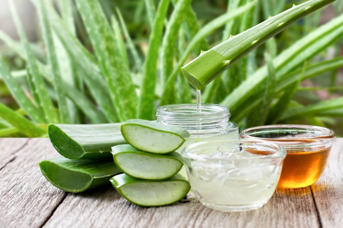 Look for Added Soothing and Hydrating Ingredients Like Aloe Vera