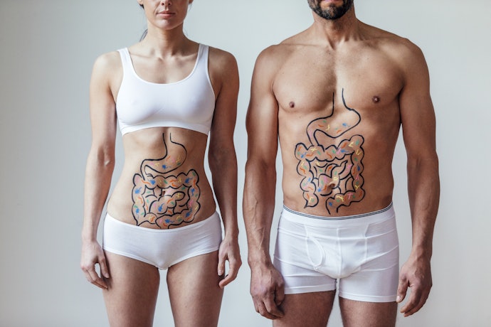 Balances the Good Bacteria in Your Gut