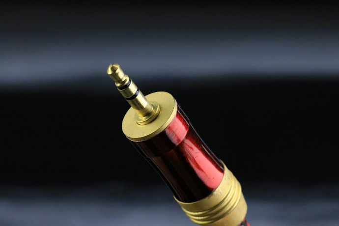 Check the Kind of Input Connector the Speaker Has