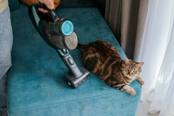 Match the Cordless Vacuum Filtration to Your Floor Type