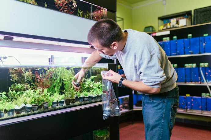Make Sure the Pump Is Compatible With Freshwater or Saltwater Tanks