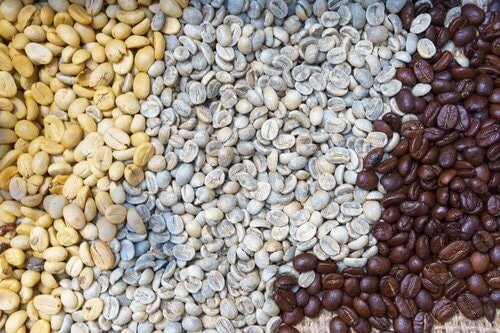 Light, Medium, or Dark: Determine Your Preferred Level of Roast