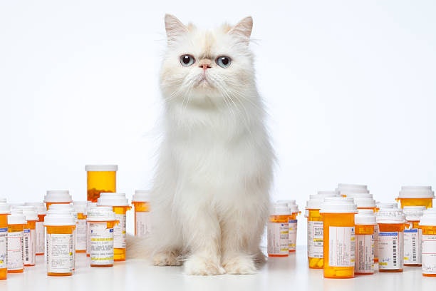 Check for Clear Labeling and Accurate Dosage Instructions