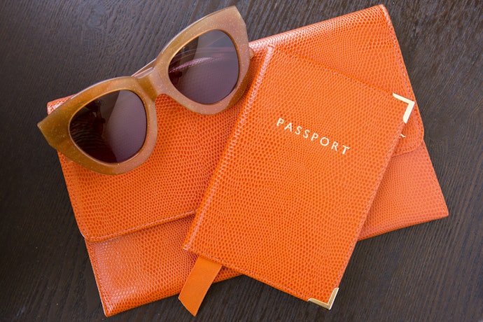 Check the Kind of Passport Case that You Need