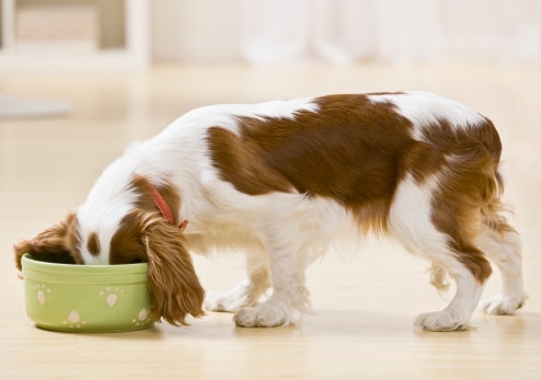 It Is Easier to Chew and Digest