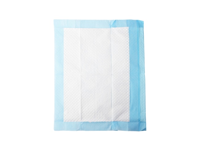 Prioritize Leak-Proof and Non-Slip Features for Better Protection