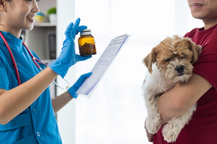 Consider Multi-Benefit Dewormers if You Prefer Wider Protection
