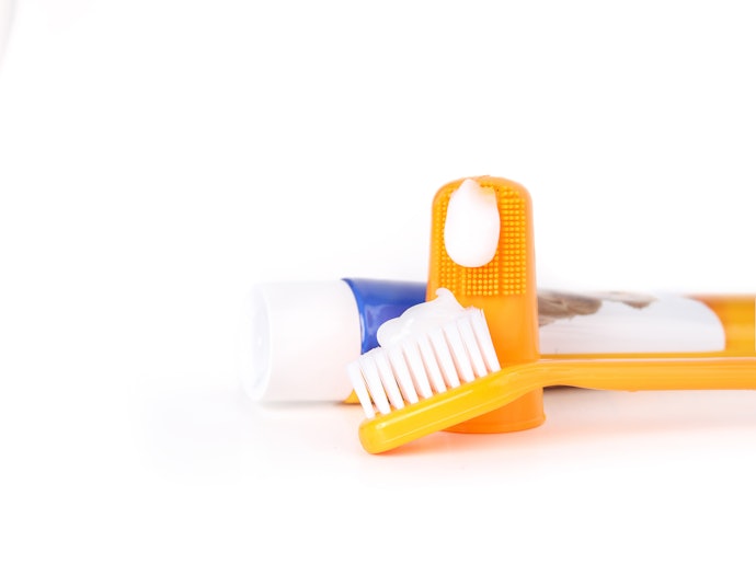 Go for Kits With Extra Brush Heads for Convenience and Savings