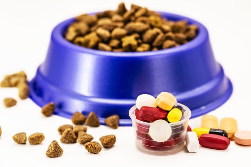 Read Labels Carefully to Avoid Vitamins with Garlic, Onion, or Xylitol