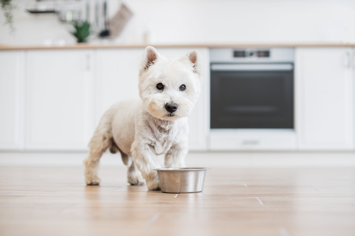Check the Ingredient List for Common Allergens