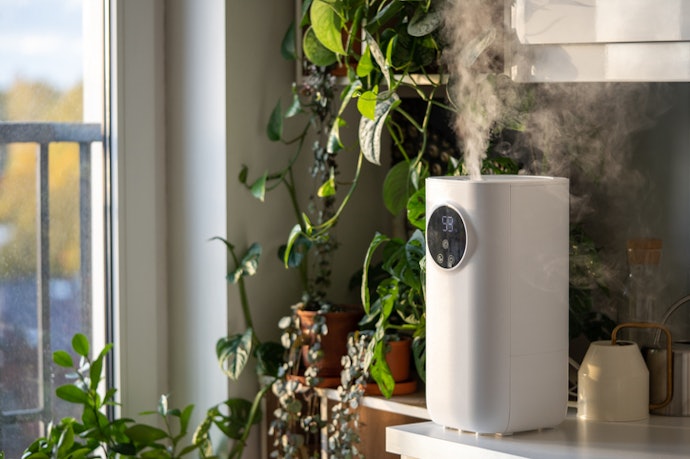 Decide Between a Desk or Floor Humidifier Based on Room Size and Usage Needs