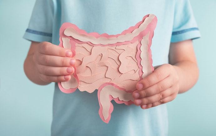 Look for Well-Researched Strains That Support Digestive Health