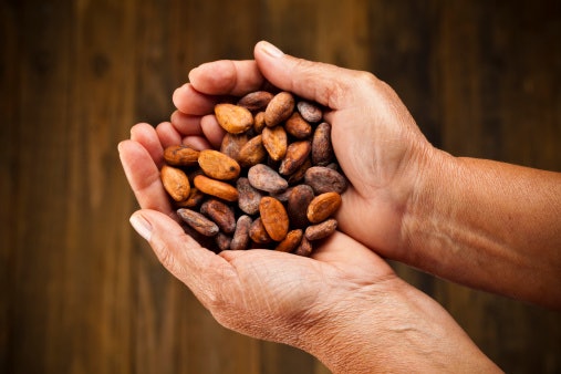 Pick Tableas Made From Fermented Cocoa Beans