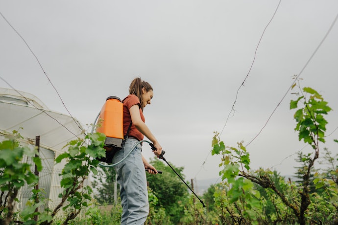 Decide Between Dry or Liquid Organic Fertilizers