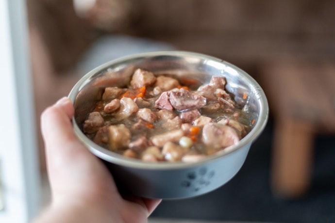 Choose a Food Format Your Dog Can Eat Easily