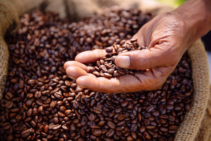 Support Local Farmers by Purchasing Locally-Sourced Beans