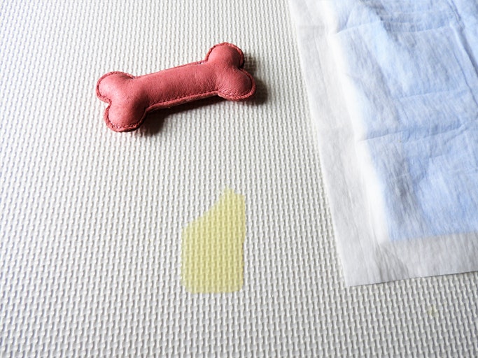 Opt for the Right Absorbency Level to Match the Expected Fluid Volume