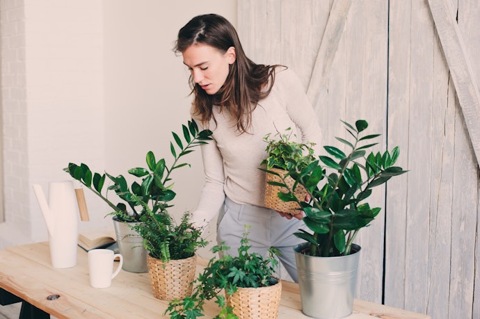 Consider the Size of Your Plants and Their Actual Pots