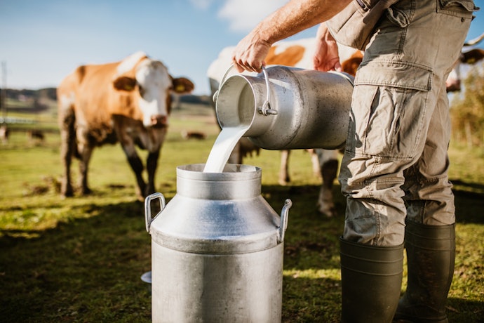 Opt for Organic Milk to Reap the Benefits of Skimmed Milk