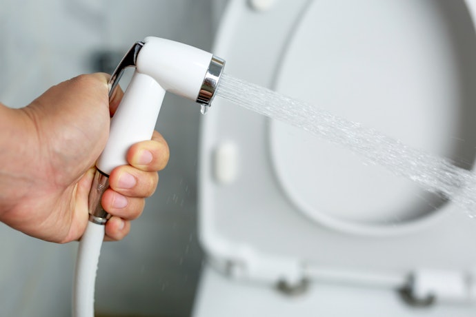 Handheld Bidet Sprayer — Simple and Conventional