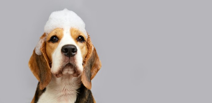 Steer Clear of Ingredients That May Irritate Sensitive Skin