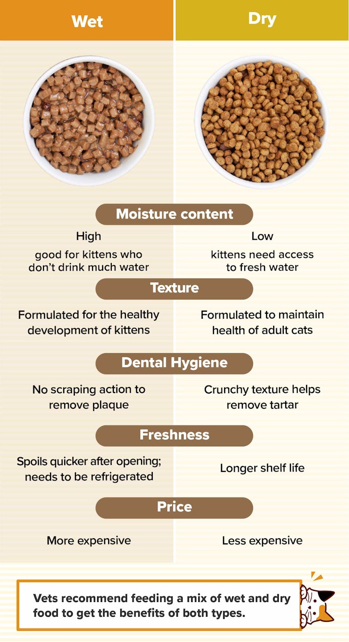 Choose Between Wet or Dry Kitten Foods Based on Your Pet’s Age and Water Intake
