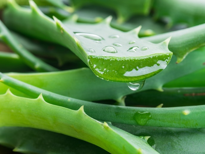 Look For Additional Ingredients Your Skin Will Love