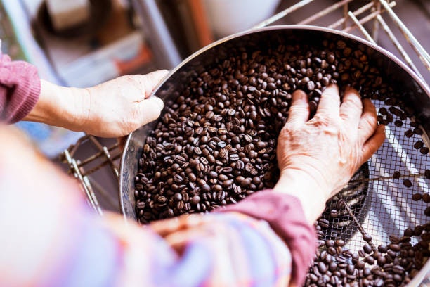 Wet-Processed Coffees for Brighter Flavors