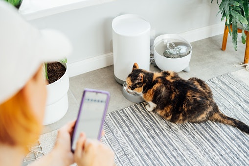 Choose App-Controlled Feeders to Handle Unexpected Schedule Changes