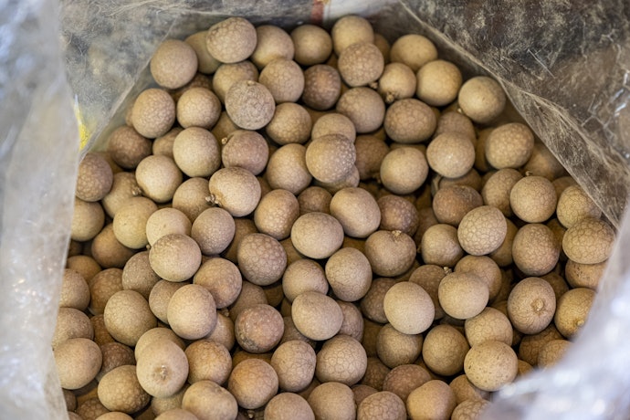Monk Fruit for Safe Use by Pregnant Women