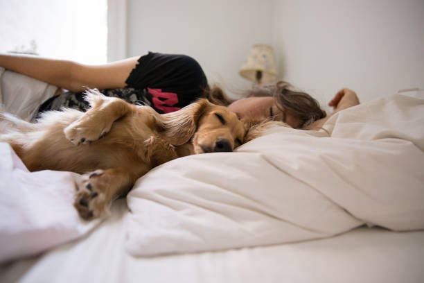 Hybrid Mattresses Are More Durable and Suit Various Body Types