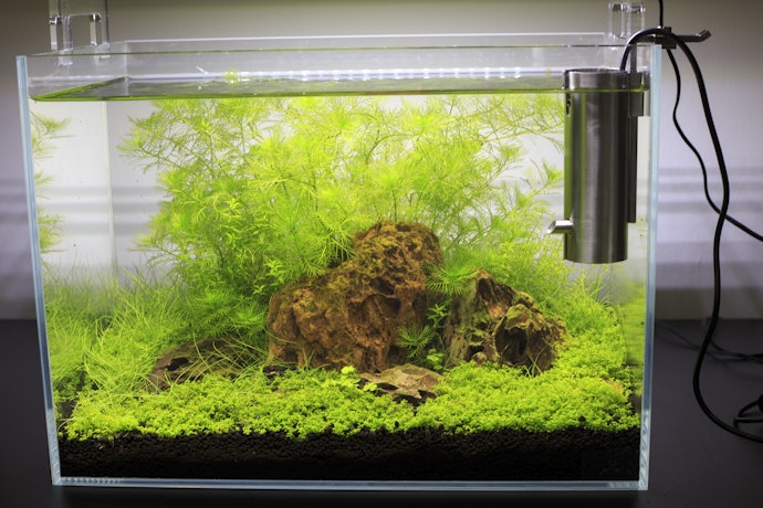 For Large Marine Tanks, Use an External or Canister-Compatible Pump