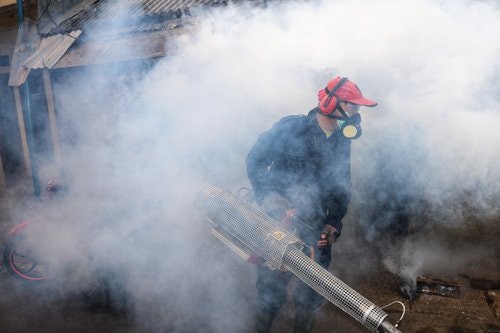 Fogger Releases Insecticides and Is Used Outdoor