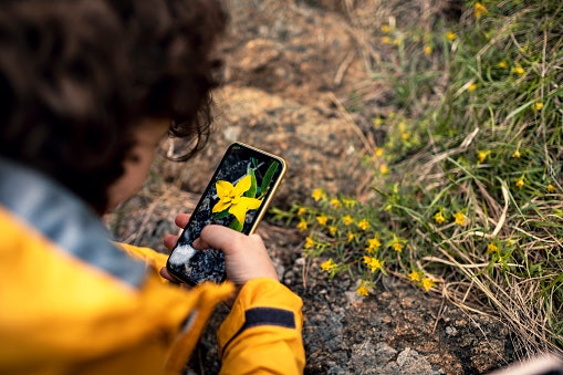 Choose a 1080x1920 Resolution or Higher for a Clear and Crisp Display