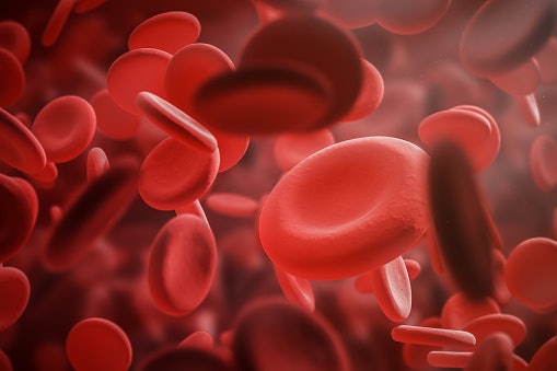 Vitamin A, B Vitamins, and Vitamin C for Better Iron Absorption and Red Blood Cell Health