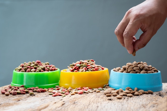 Hydrolyzed Protein Formulas for Allergy Management