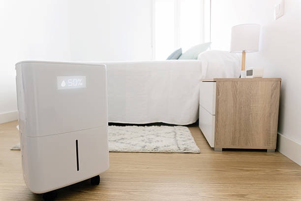 Medium Capacity (10L–20L/Day): Ideal for Bedrooms and Condo Units