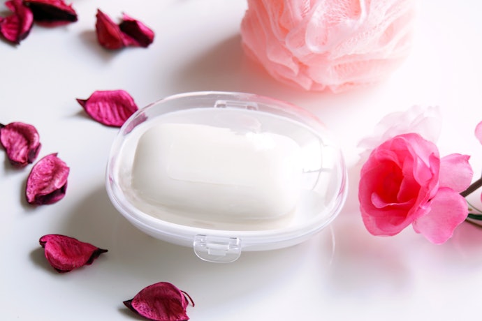 Non-mounted Soap Holders Are More Portable