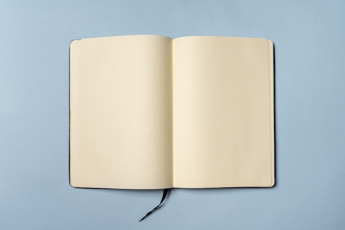 Non Dated Diary for All-Year Round Use