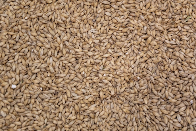 Eco-Friendly Natural Fillers - Grains and Buckwheat