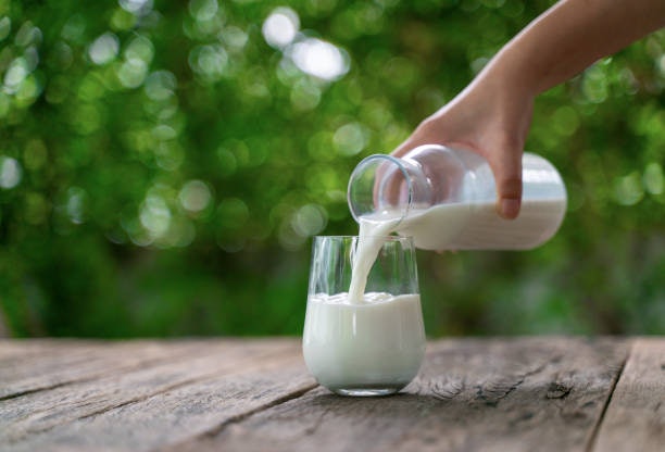 Low-Fat Milk: For Balanced Calories and Nutrition