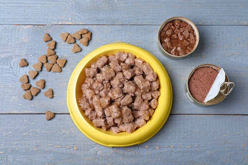 Wet Food for Rich Flavor and Added Hydration