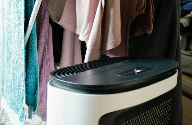Compressor: Powerful Moisture Removal for Warm, Humid Rooms