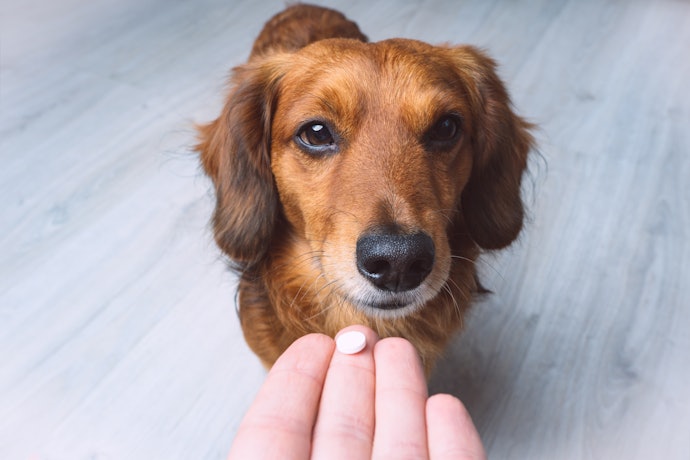 For Reliable Internal Protection: Choose Chewable Tablets